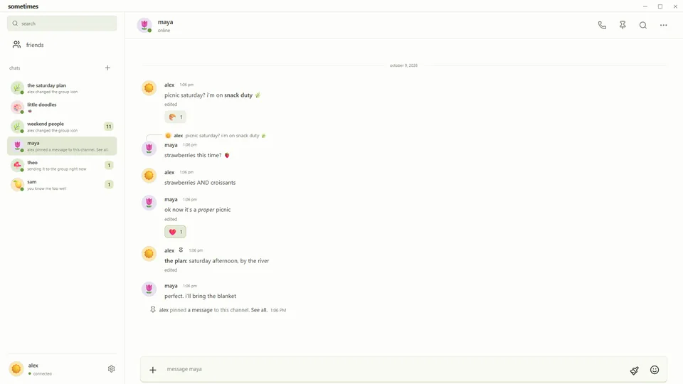 sometimes desktop chat with messages, replies, reactions, and a pinned picnic plan.